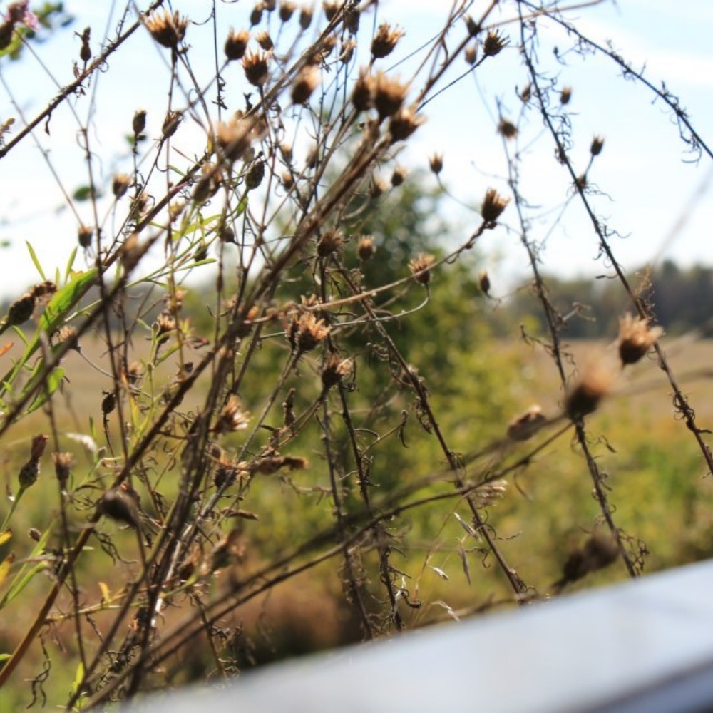 Meet your Posher, Makala